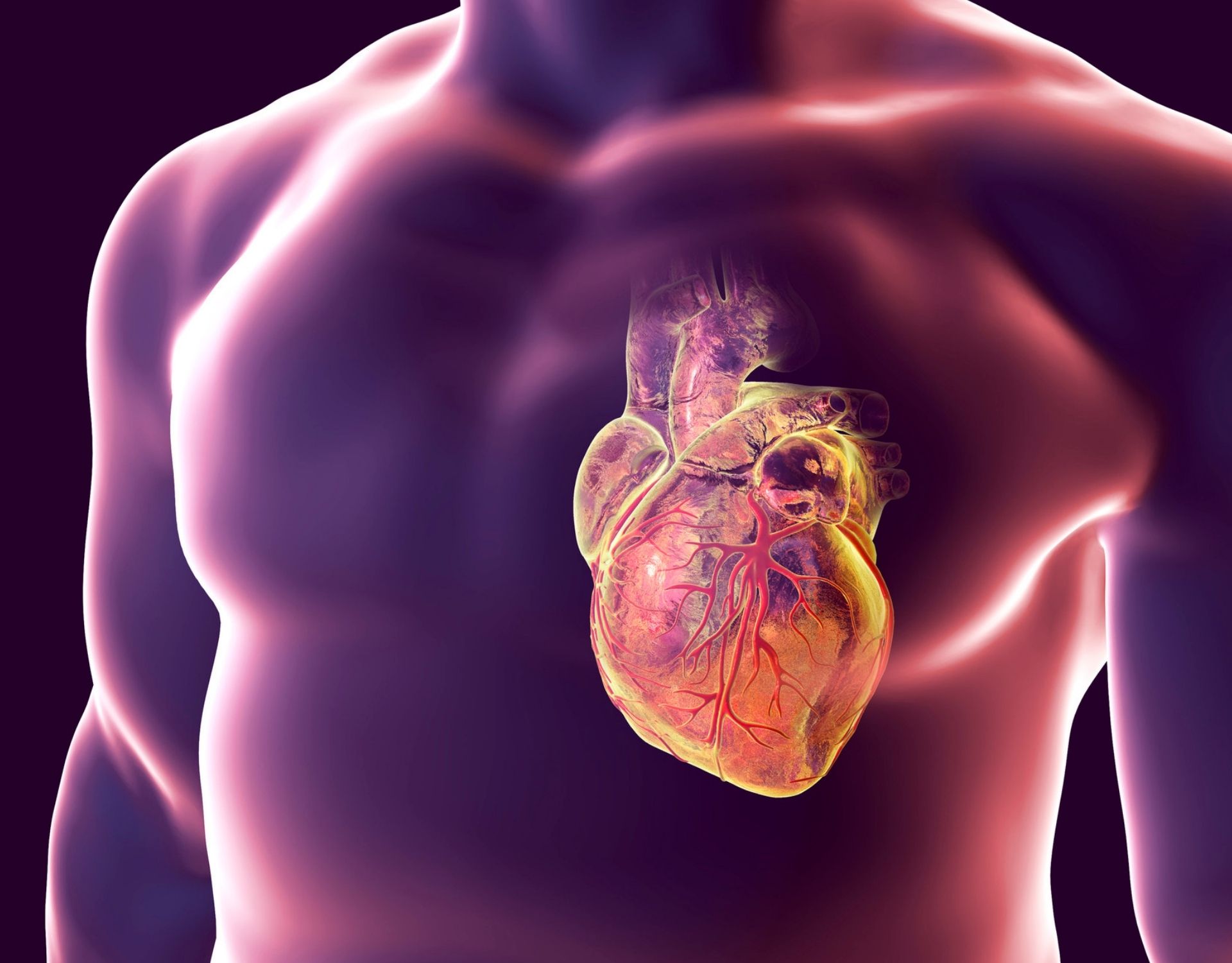 Gestione delle malattie cardiovascolari a domicili, consigli utili