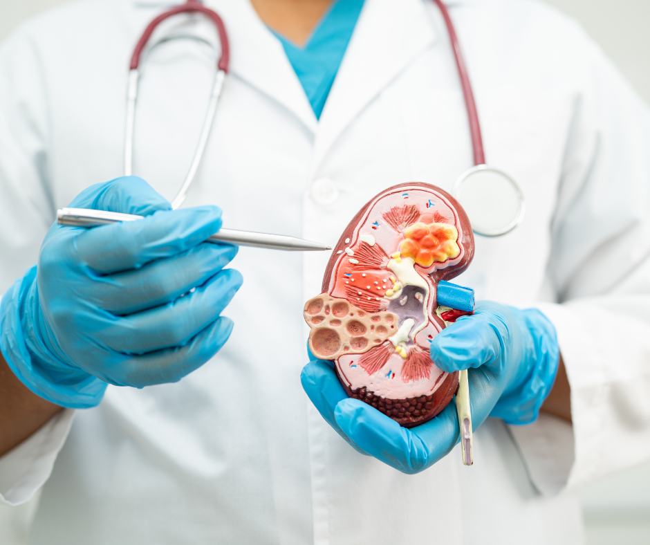 urologo a domicilio a roma Urologo a Domicilio Roma: scopri il servizio di ADI Salus